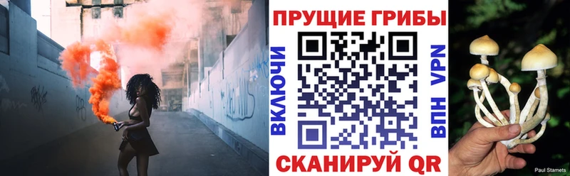 mega ССЫЛКА  купить наркотик  Поворино  Галлюциногенные грибы Psilocybine cubensis 