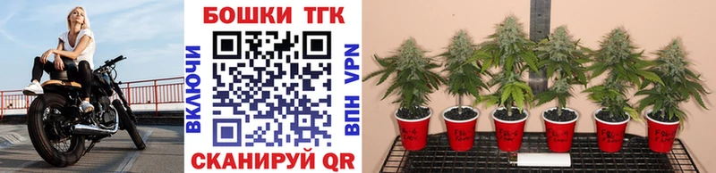 Бошки Шишки Bruce Banner  мега зеркало  Поворино  купить наркотики сайты 